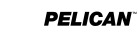 Pelican