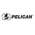 pelican